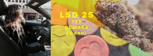 стаф Верея