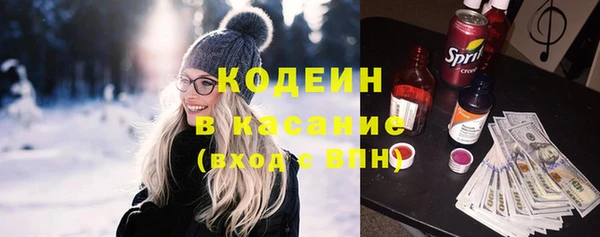 стаф Верея