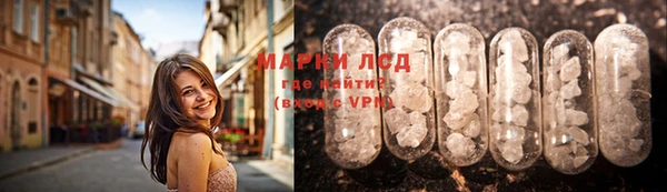 стаф Верея