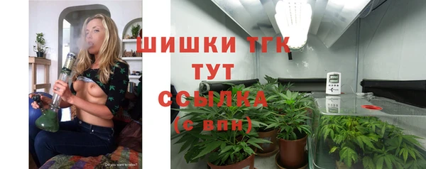 стаф Верея