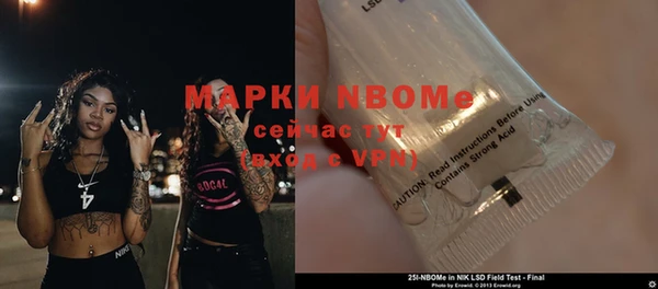 стаф Верея