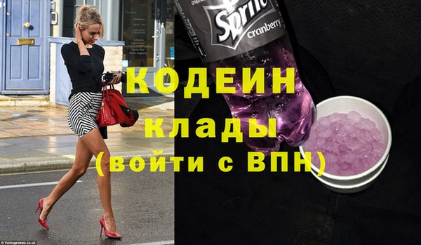 стаф Верея