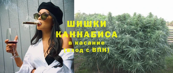 стаф Верея