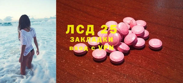 стаф Верея