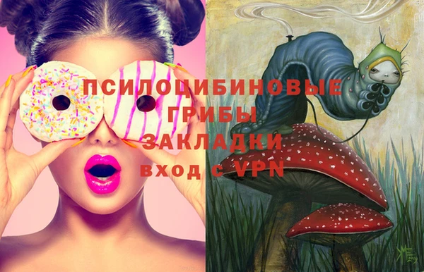 мдпв Верхний Тагил