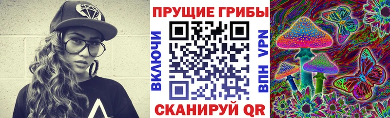 hydra   Павловская  Псилоцибиновые грибы Psilocybine cubensis  мориарти какой сайт  купить наркотик 