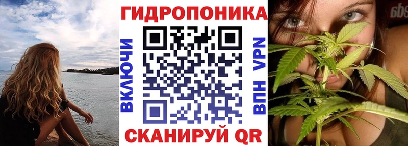 Марихуана план  Павловская 